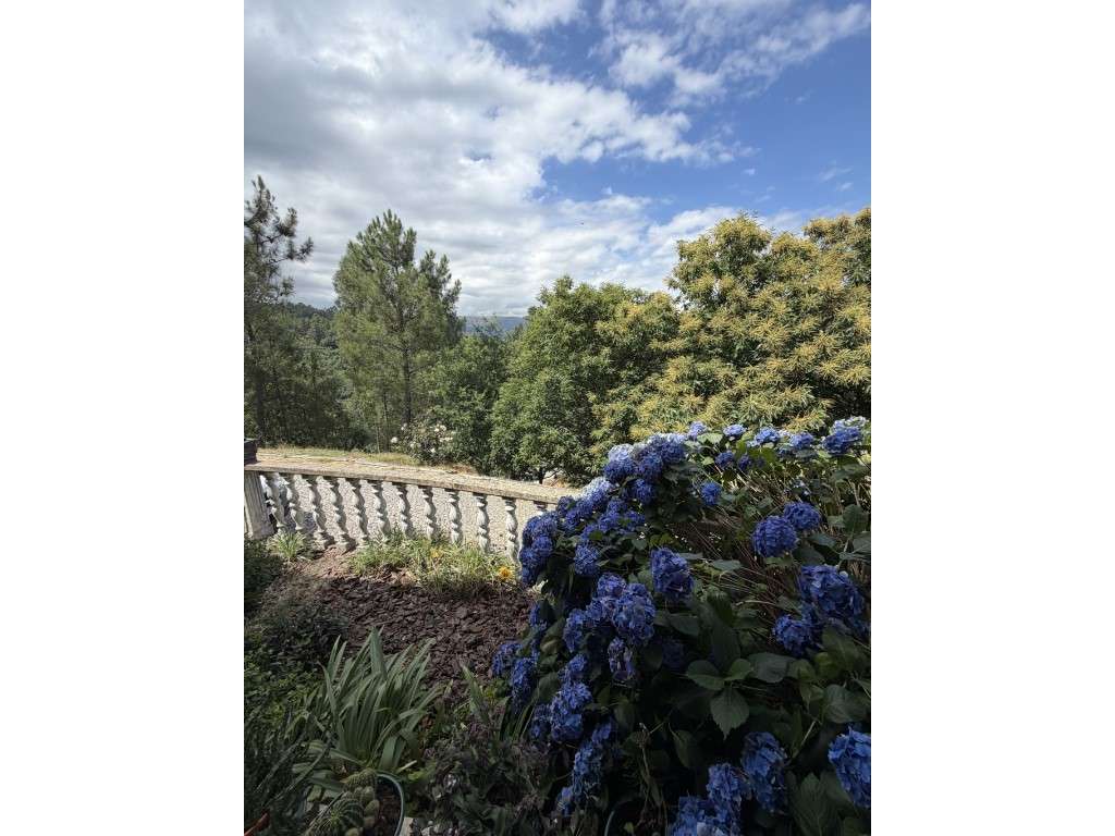 Excelente moradia térrea em Vale Carvalho , Viseu com terreno de 35...-5