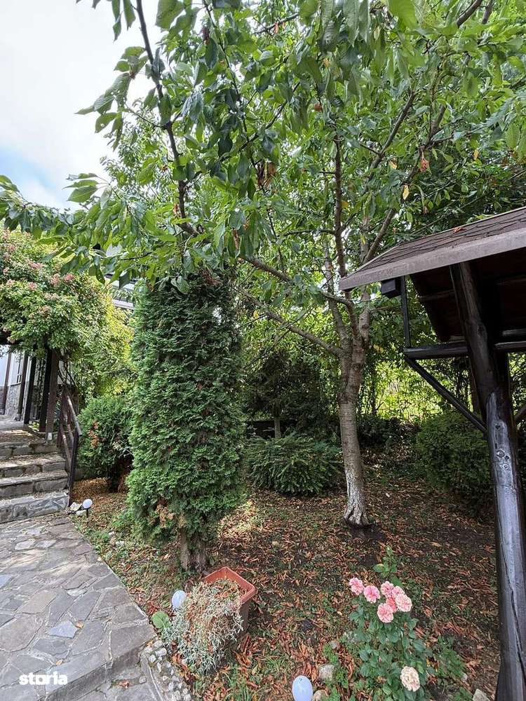 Pensiune 12 camere + casa 3 camere + terasa / curte 2000 / Breaza / - Imagine principală: 3/20