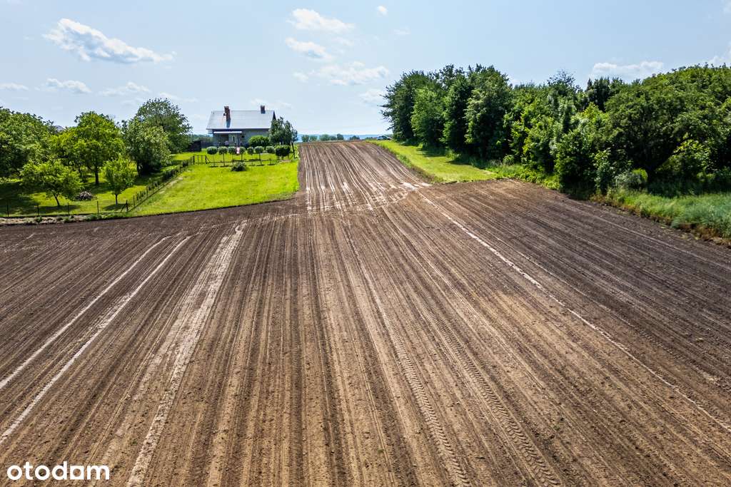 Duża działka 47a z WZ | Niżatyce | Kańczuga-7