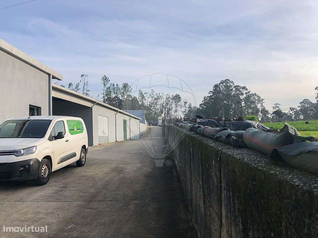 Investimentos  para venda-12