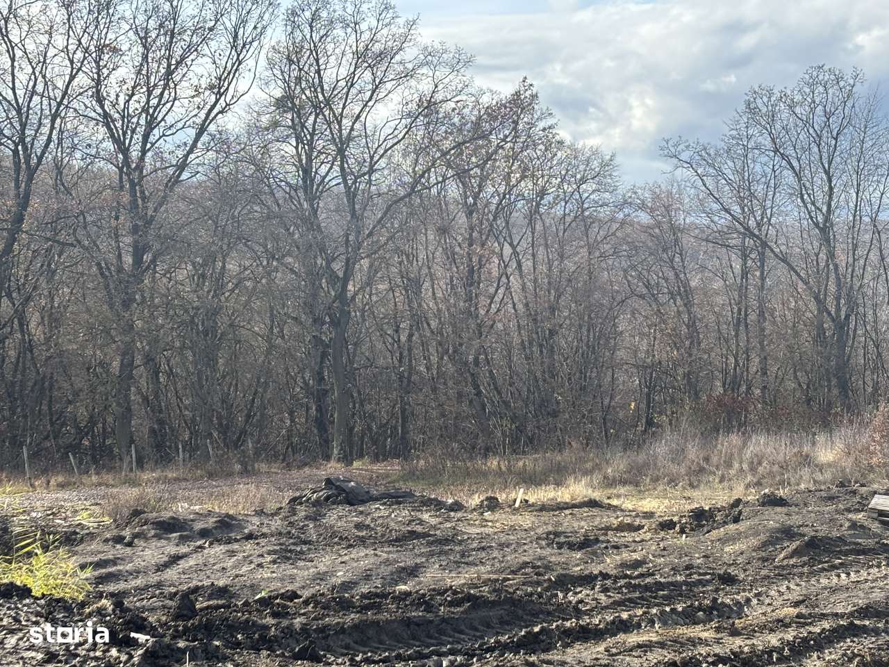 Teren cu Puz aprobat Faget - Imagine principală: 4/4