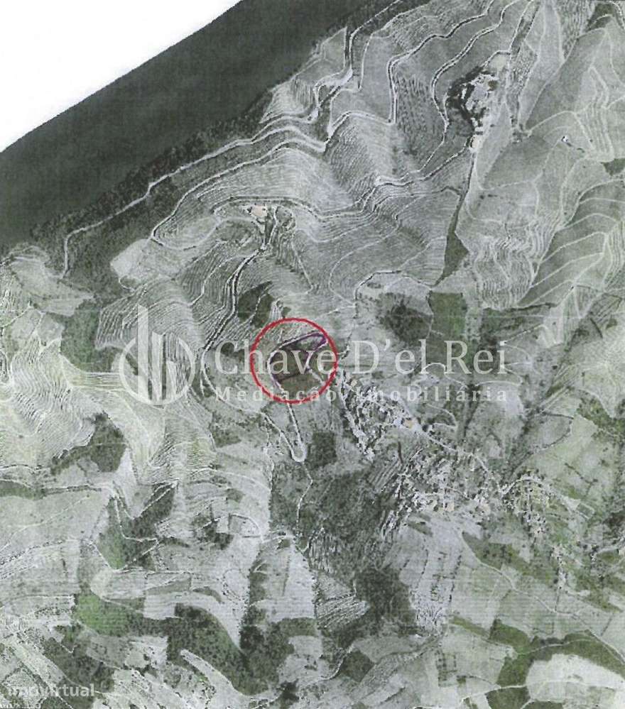 Terreno Para Construção  Venda em Valença do Douro,Tabuaço - Grande imagem: 2/10