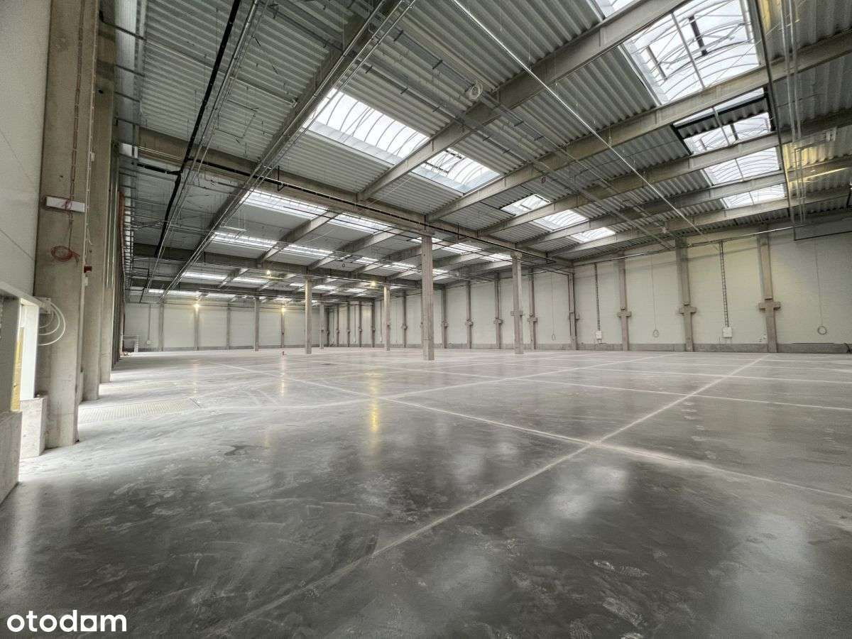 Magazyn + biuro 400-3800mkw, zjazd S7 - Pełny obrazek: 5/12