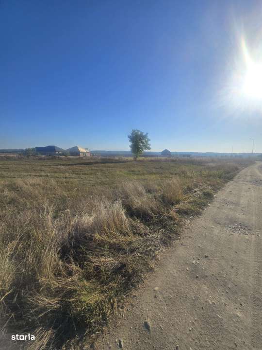 Teren 1000mp ,la intrarea in Filiasi - Imagine principală: 4/5