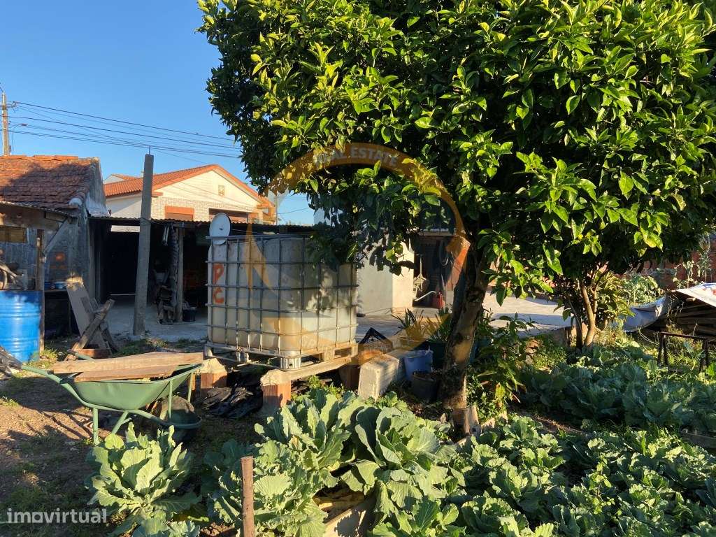 Terreno Ovar - Grande imagem: 3/8