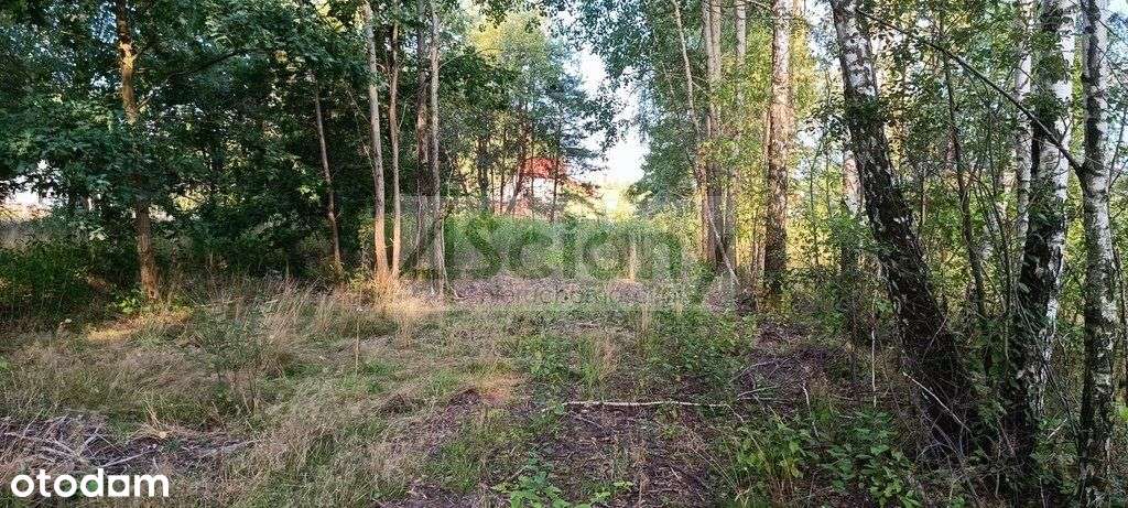 Działka, 1 500 m², Czarny Las - Pełny obrazek: 4/5