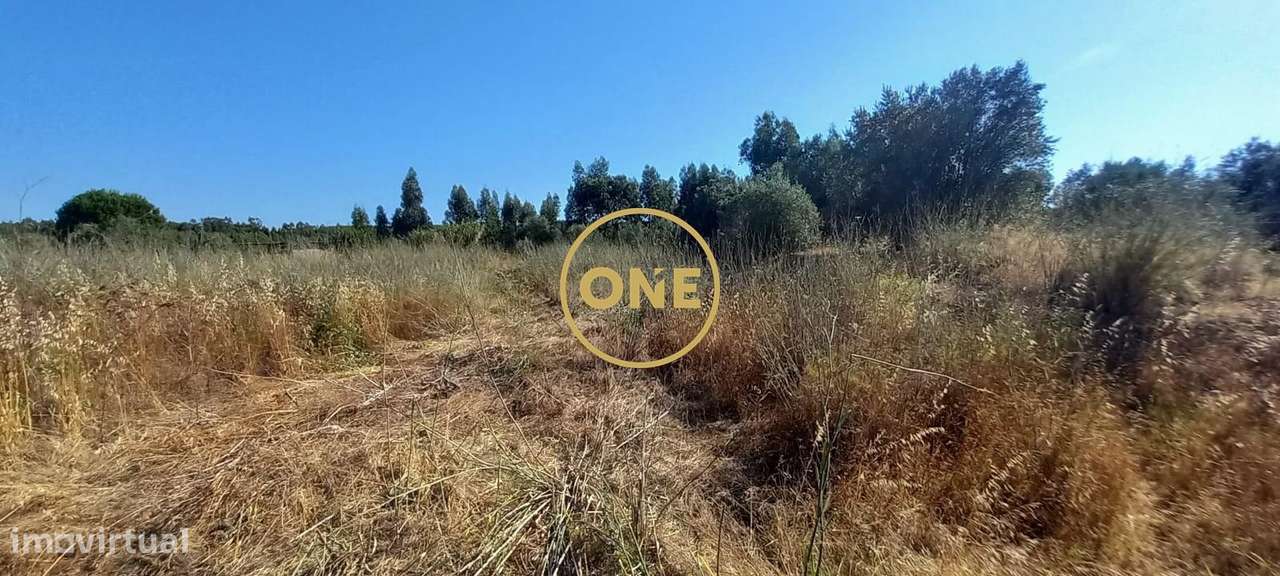 Terreno com 21.960 m2 e viabilidade construtiva | Vila Nova da Barquin-13
