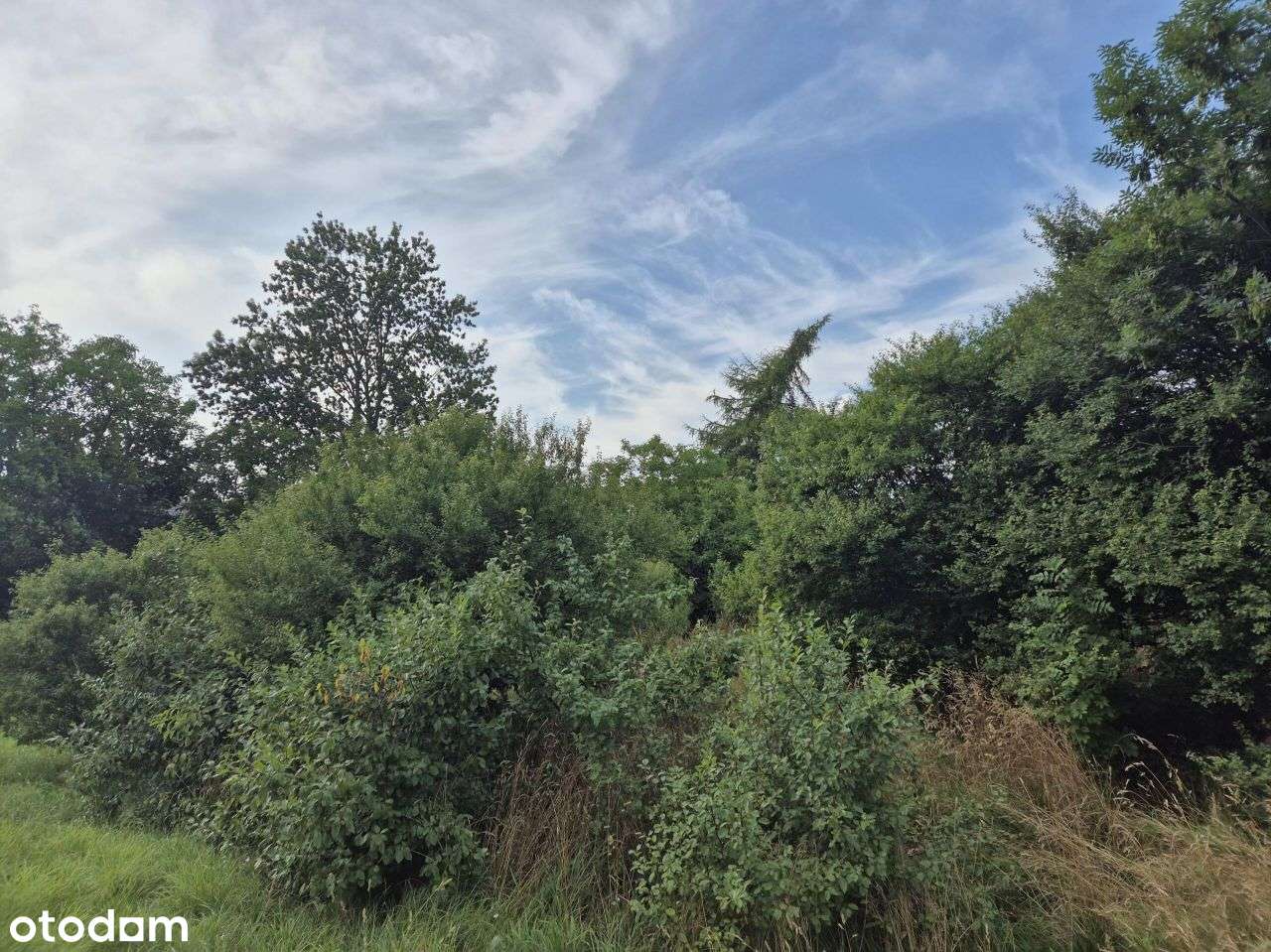 Działka, 719 m², Wejherowo-7