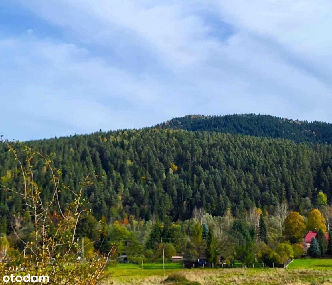 Jeleśnia - działka budowlana - Pełny obrazek: 5/5