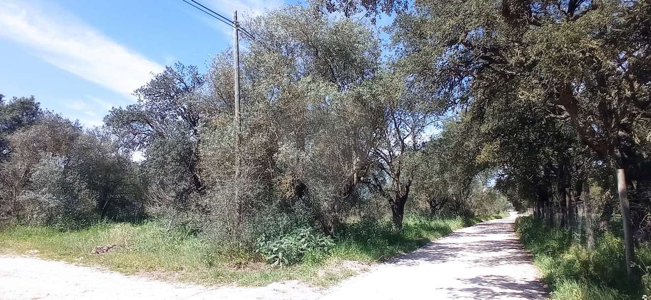 Terreno  para venda - Grande imagem: 3/9