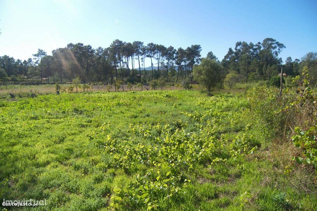 Terreno 800m2, Bodiosa, Viseu