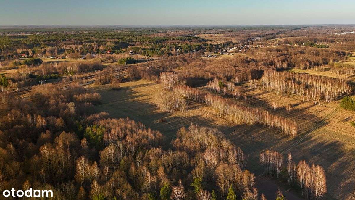 Działka przemysłowa 2,8 ha Łojew, gm. Łochów-6