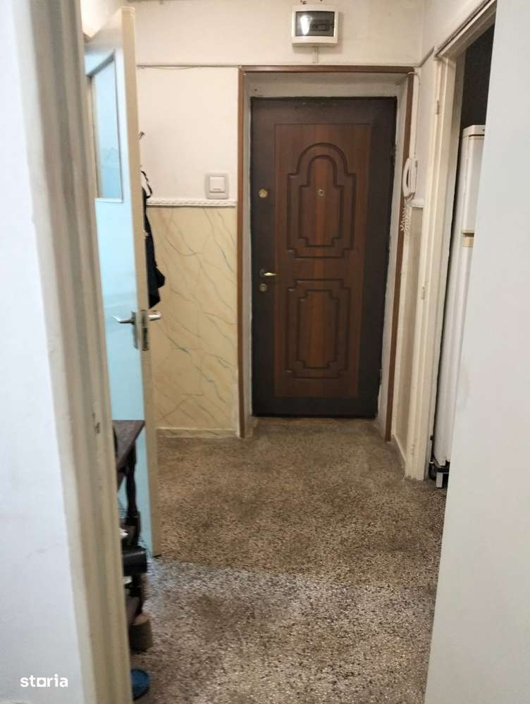 campia libertatii cu baba novac 3 minute de parc ior statuie cuza-9