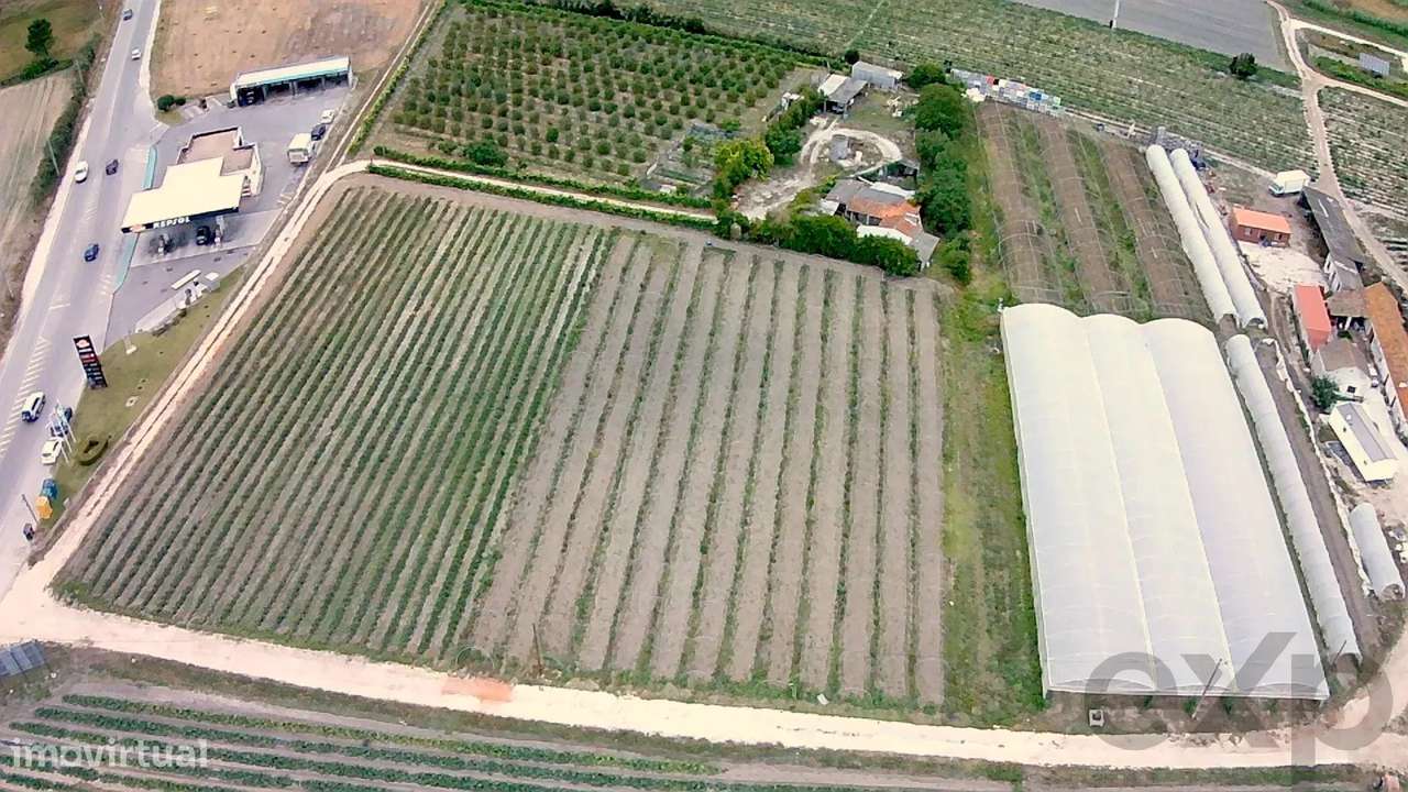 Parcela de terreno urbanizável, com 12.000m2, junto à A8/Lisboa/Leiria - Grande imagem: 4/12