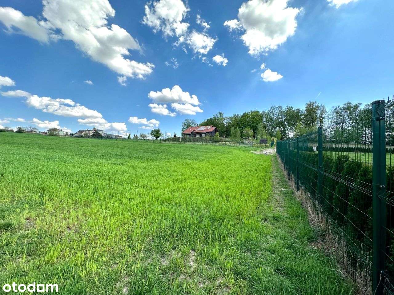 Działka pod lasem | doprowadzony wodociąg-2