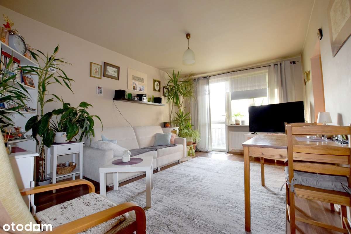 Jasne, ciche, 3 pokojowe- blisko tramwaj i autobus-2