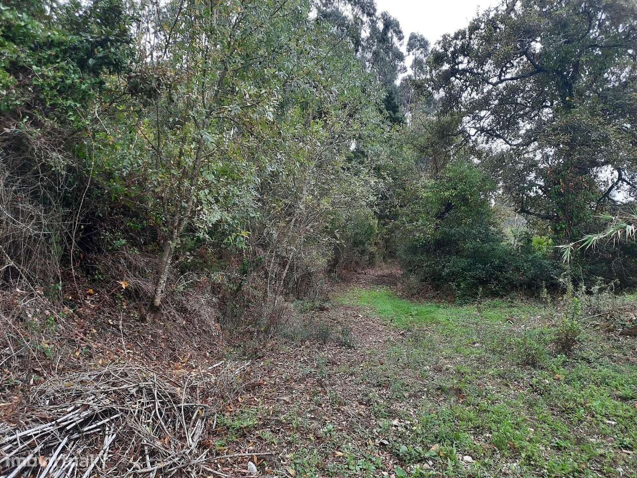 Moradia T2 VALE DE LOBOS - SINTRA - Grande imagem: 5/18