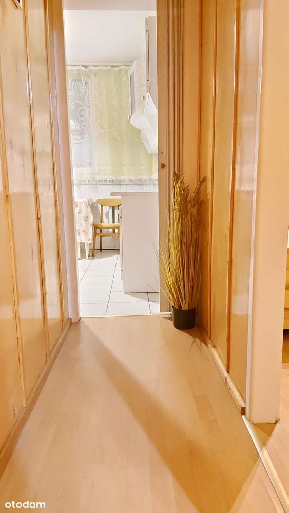 Dwupokojowe mieszkanie z ogrzewaniem miejskim ul. Bielska - Pełny obrazek: 3/11