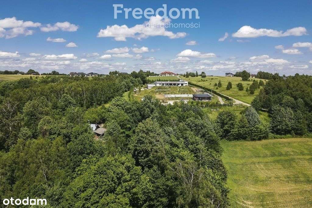 Działka 62,87 ar z zabudowaniami przy lesie-1