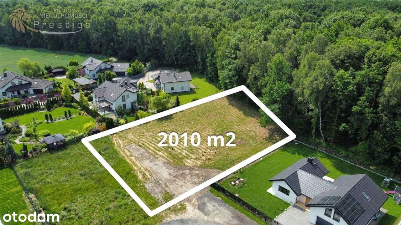 Działka premium, Podlesie – las i luksus | Mpzp - Pełny obrazek: 4/10