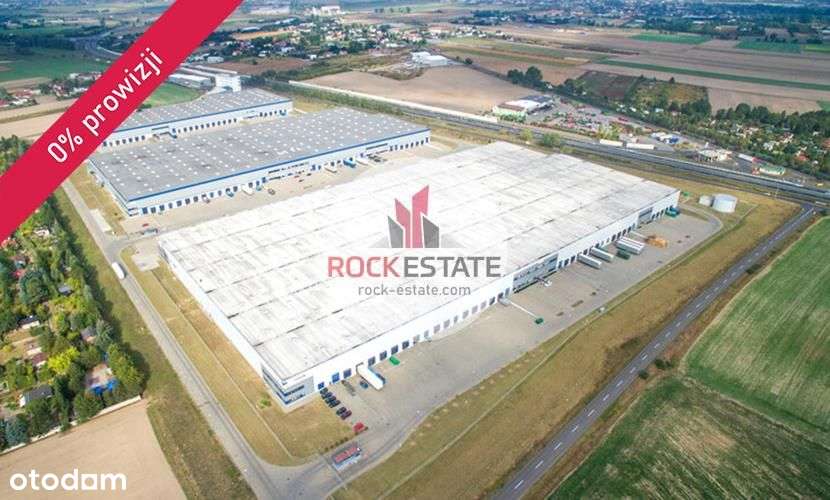 Magazyn w Żernikach 3729 m2 - 0% prowizji - Pełny obrazek: 4/9