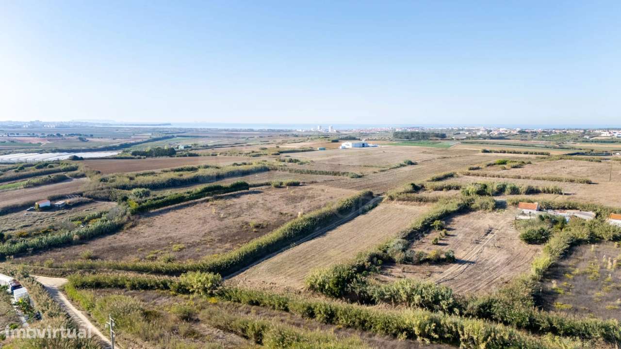 Terreno Rústico com 3.600 m² em Atouguia da Baleia - Grande imagem: 4/8