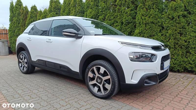 Citroën C4 Cactus 1.2 PureTech Shine S&S - 14