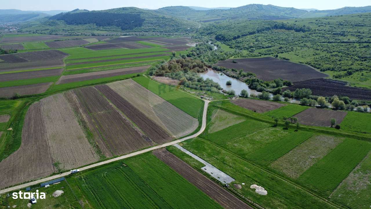 Teren de vanzare 8.700 mp în Livada comuna Iclod - Imagine principală: 4/20