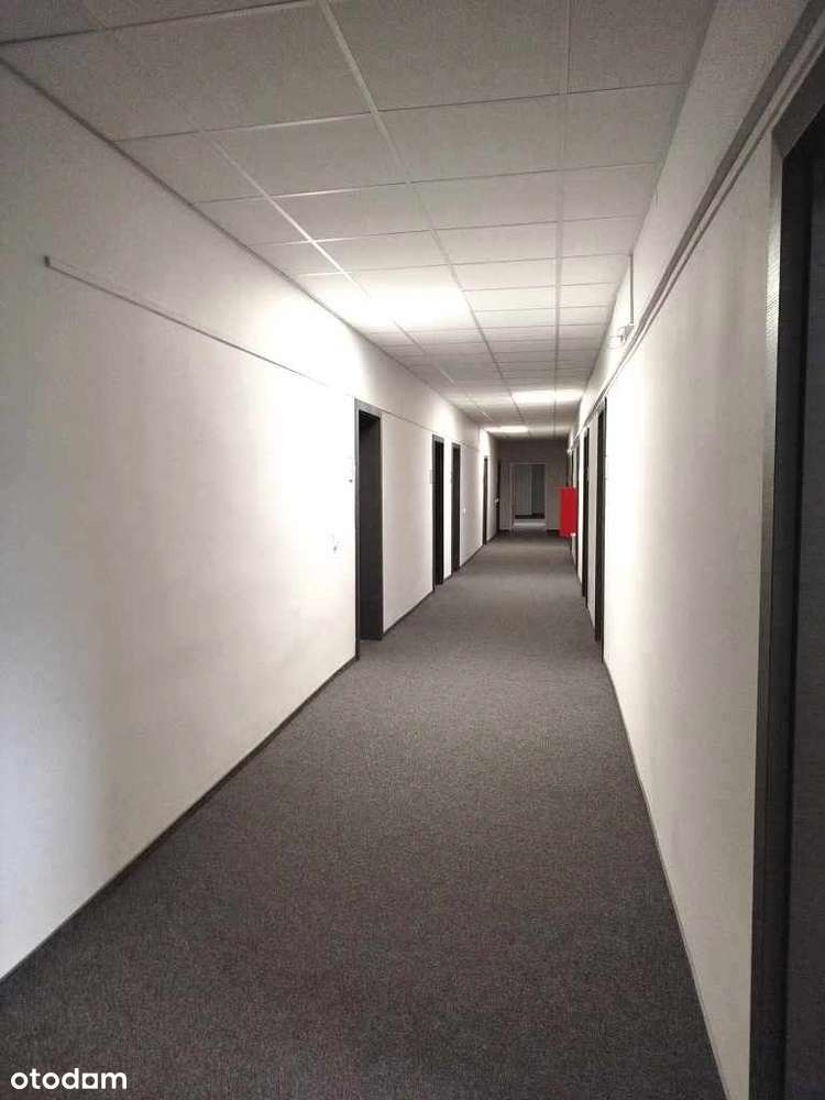 Lokale biurowe oraz użytkowe świetna lokalizacja - Pełny obrazek: 5/19