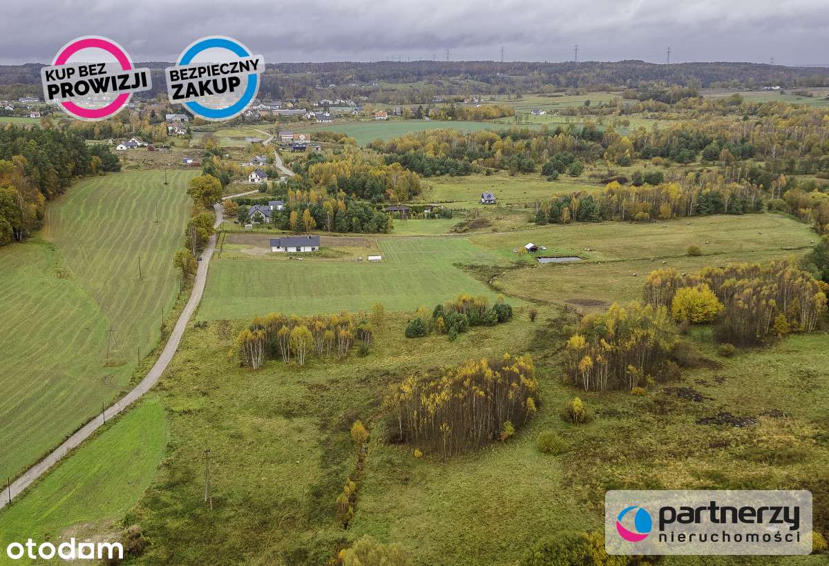 Mierzeszyn - Działka zagrodowa w cichej okolicy - Pełny obrazek: 5/12