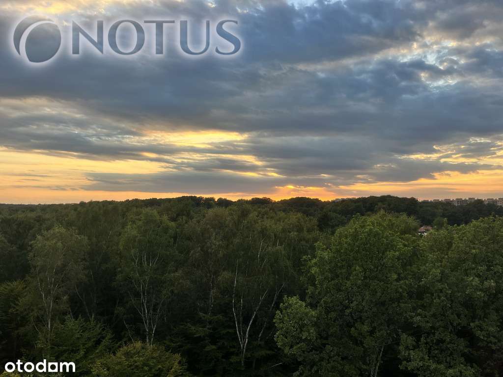 Kawalerka z rewelacyjnym widokiem! - Pełny obrazek: 4/4