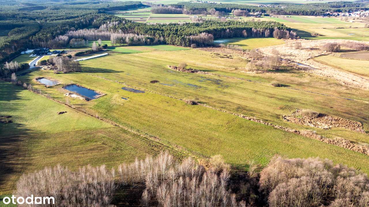 Działki pod rekreację Wieleń , gmina Przemęt - Pełny obrazek: 5/14