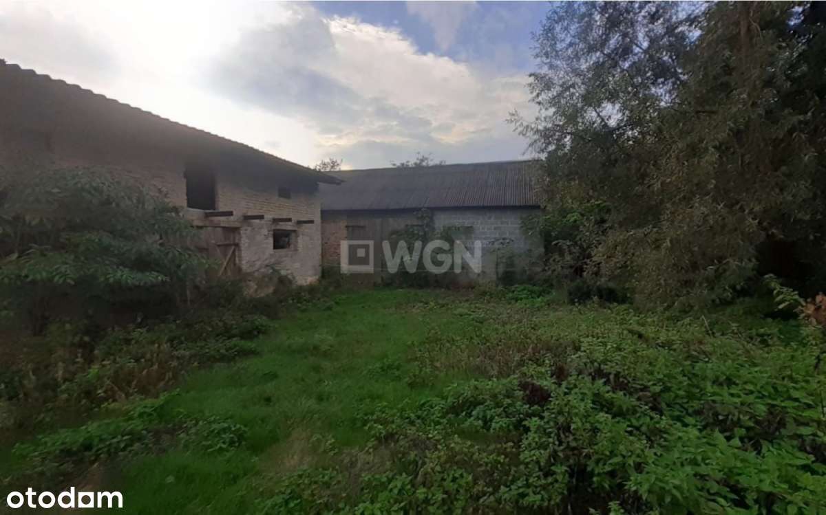 Okazja! Tani dom na Jurze - Pełny obrazek: 5/11