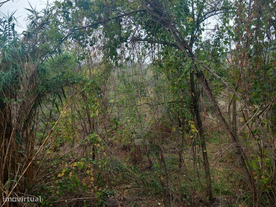 Terreno  para venda - Grande imagem: 3/6