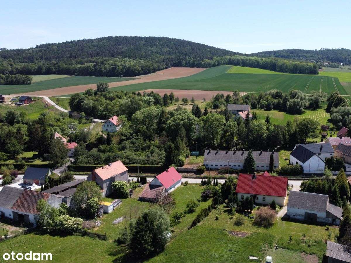 Dom do generalnego remontu z dużą działką-8