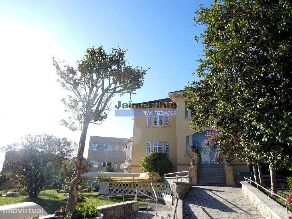 Terreno urbano, para venda, Porto - Paranhos - Grande imagem: 3/7