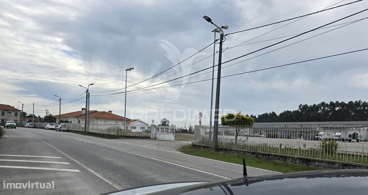 Armazém com 5000m2 num terreno de 28 250 m2 - Grande imagem: 4/4