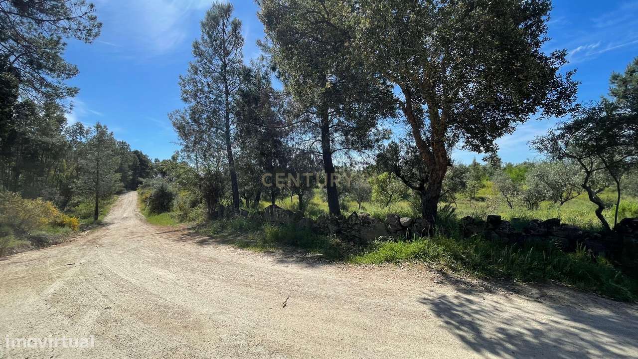 Terreno Rústico | Lousa CTB, Castelo Branco - Grande imagem: 4/8