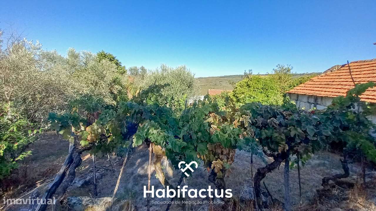Moradia em Pedra com Vista Deslumbrante sobre o Campo - Ortigueira - Grande imagem: 5/20