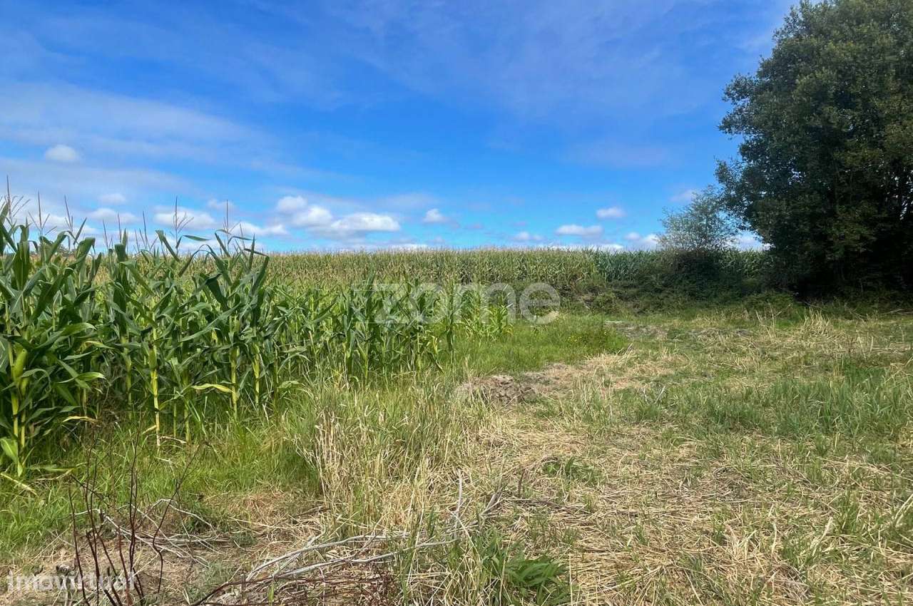 Terreno | Cultivo | Venda - Grande imagem: 5/16