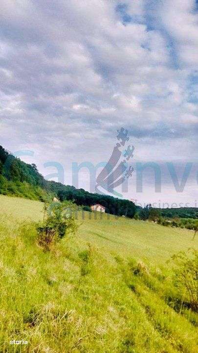 Gaminvest-Teren de vanzare, la iesirea din Baile Felix, Bihor V2896A - Imagine principală: 3/4