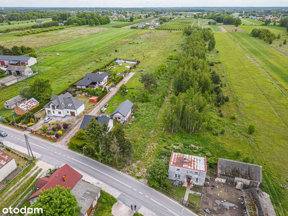 Chojnowski Park | Warszawa 10 km | - Pełny obrazek: 5/10