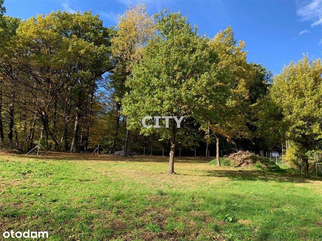 pod rezydencję, unikatowa lokalizacja, las - Pełny obrazek: 4/7