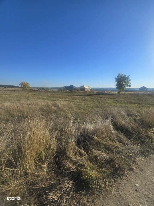 Teren 1000mp ,la intrarea in Filiasi - Imagine principală: 5/5