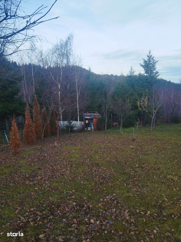 Cabana lemn cu 1000 mp teren MĂRIȘEL zonă de cabane-18