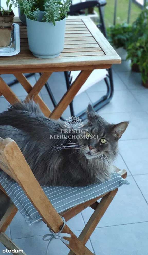 Komfortowe czteropokojowe mieszkanie-14