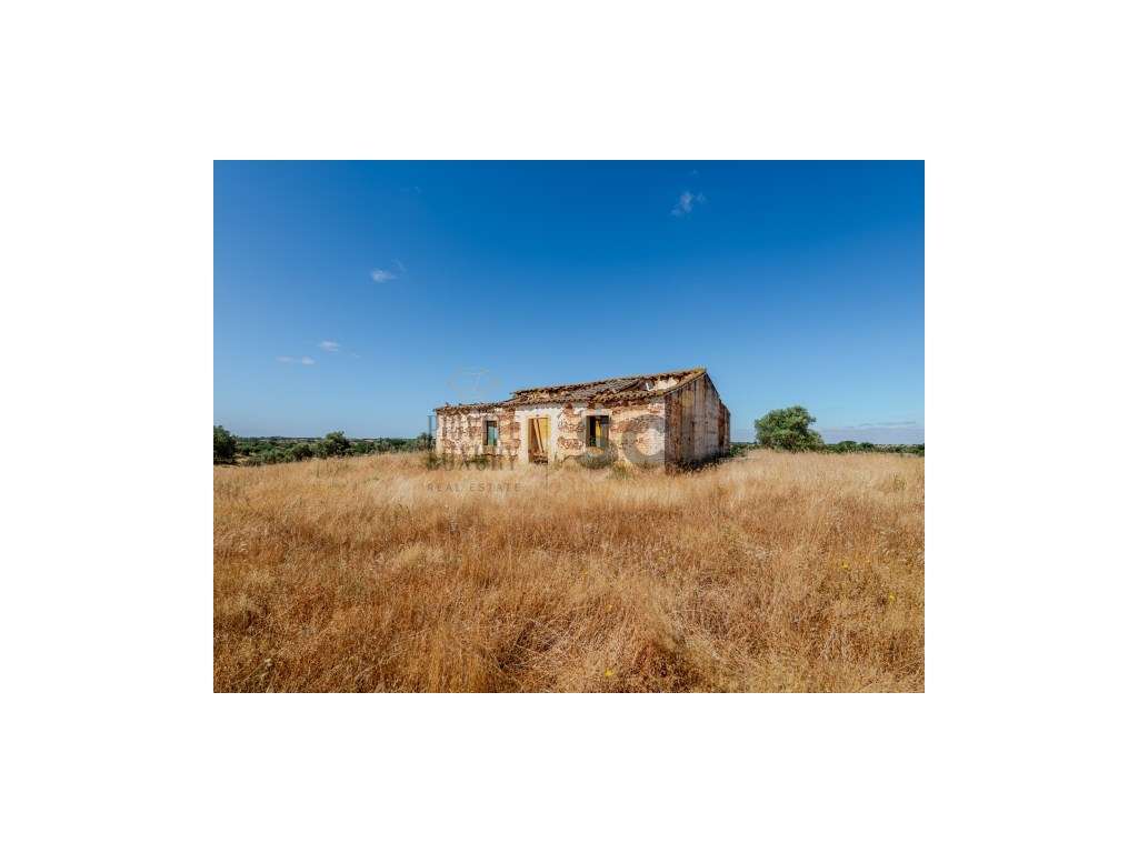 Pequena Quinta com Ruína para Recuperar em Vila Nova de São Bento-26