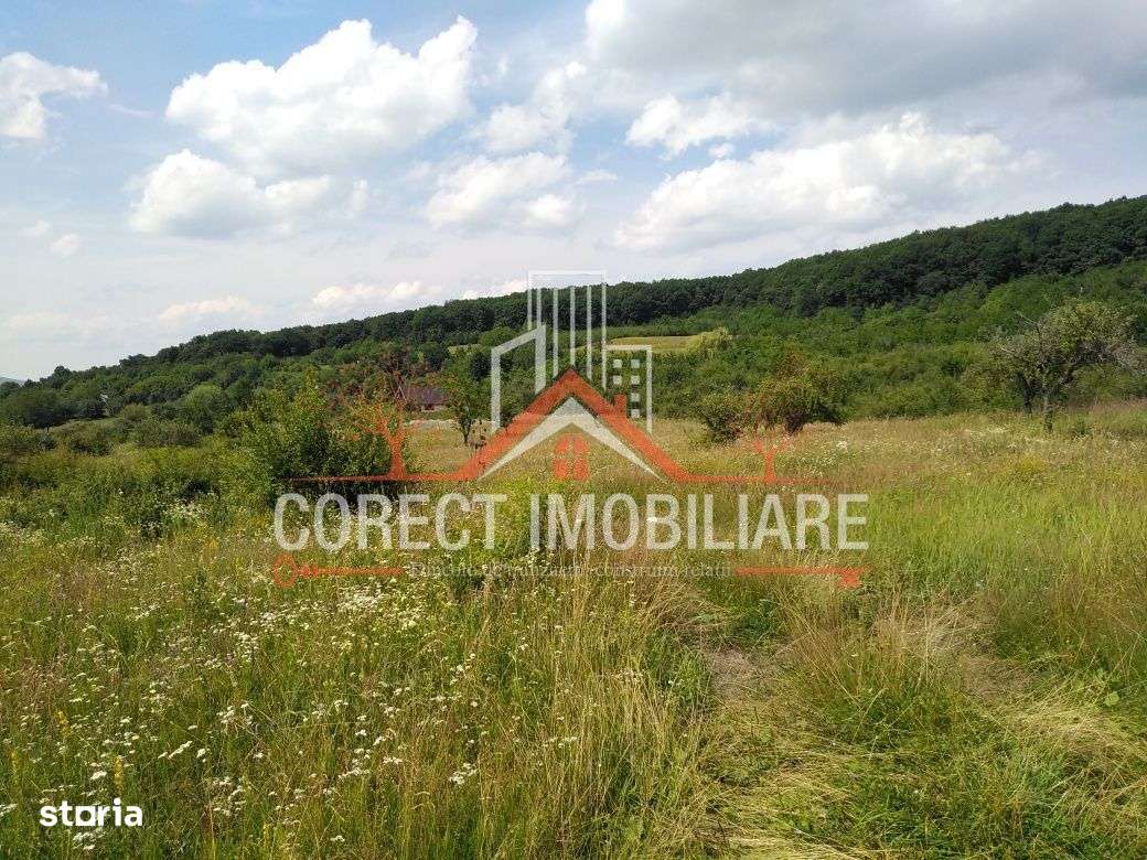 Va oferim spre vanzare teren zona valea budacului cartier raal - Imagine principală: 2/3