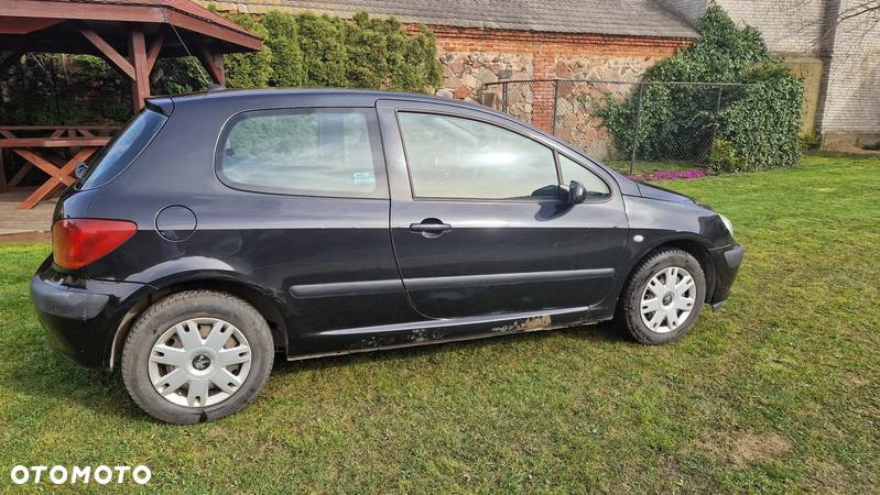 Peugeot 307 - 8