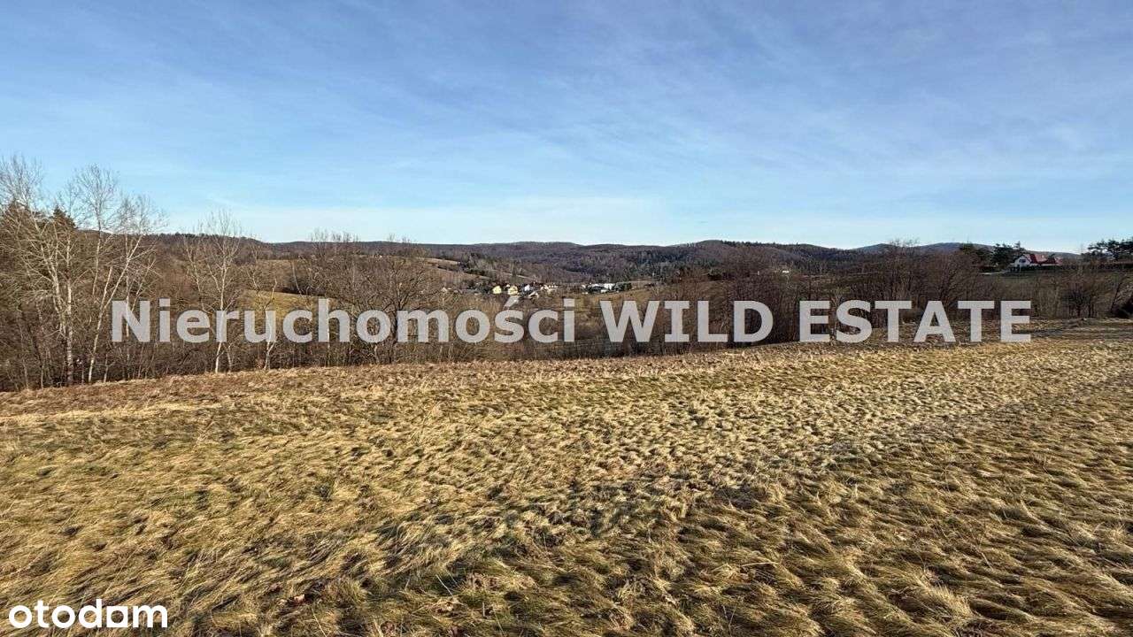 Działka, 3 402 m², Berezka-10